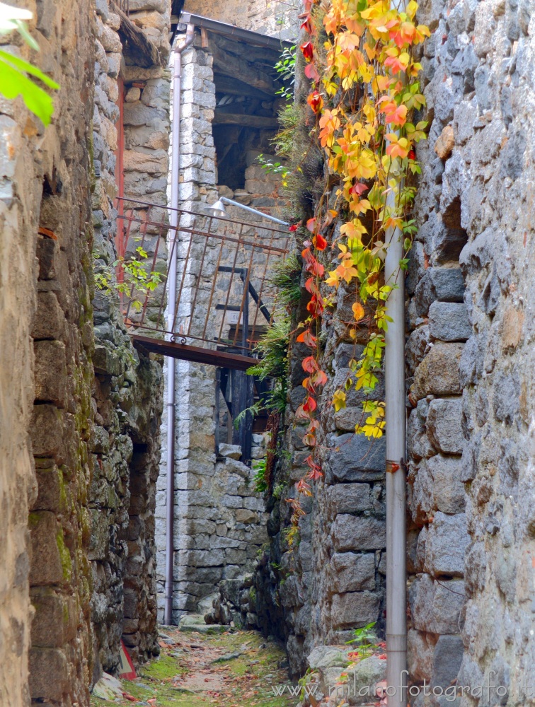 Campiglia Cervo (Biella) - Colori autunnali fra le vecchie case della frazione Sassaia